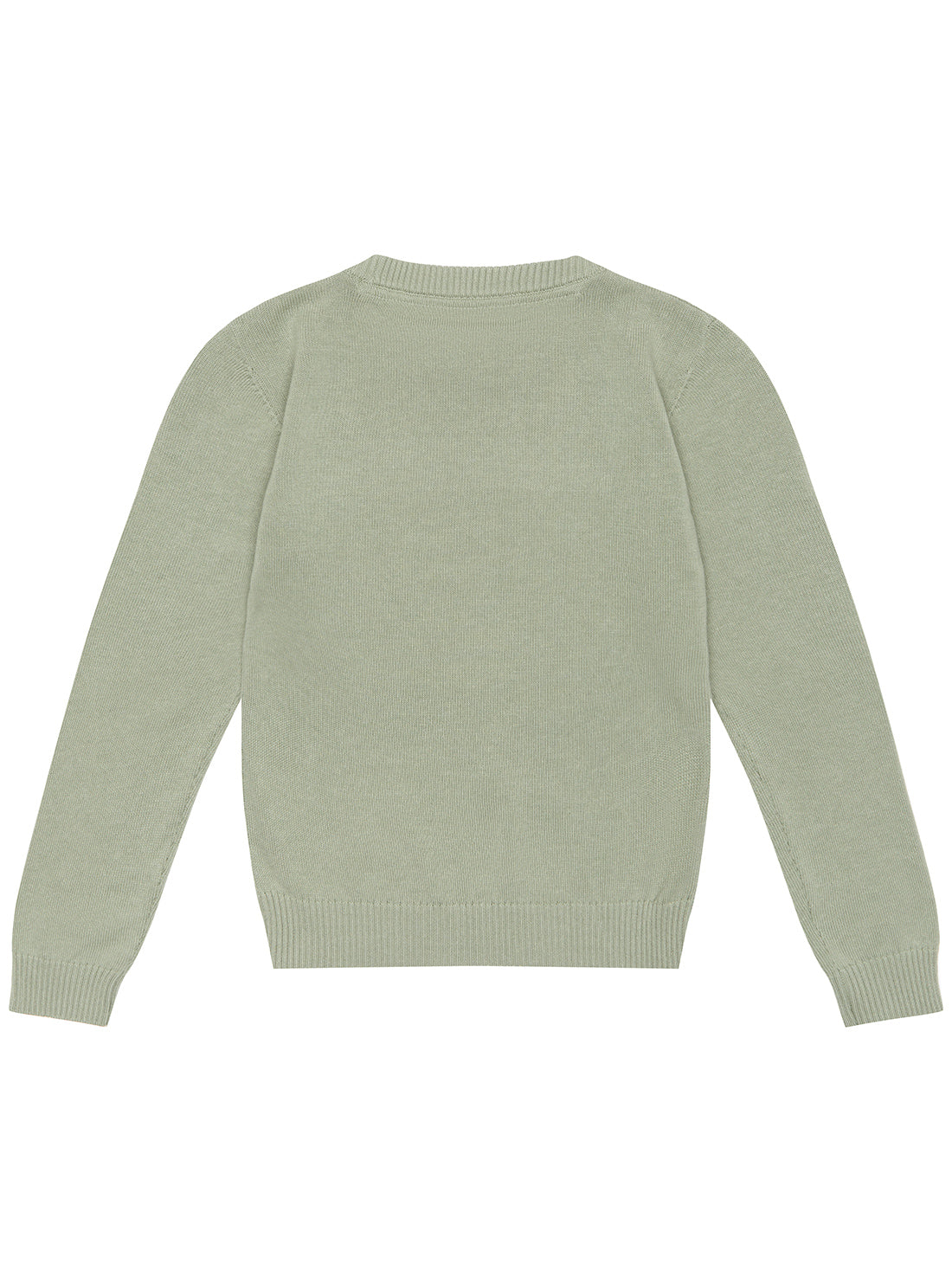 Matcha Green Long Sleeve Logo Knit Top (2-7) | GUESS Kids | back view