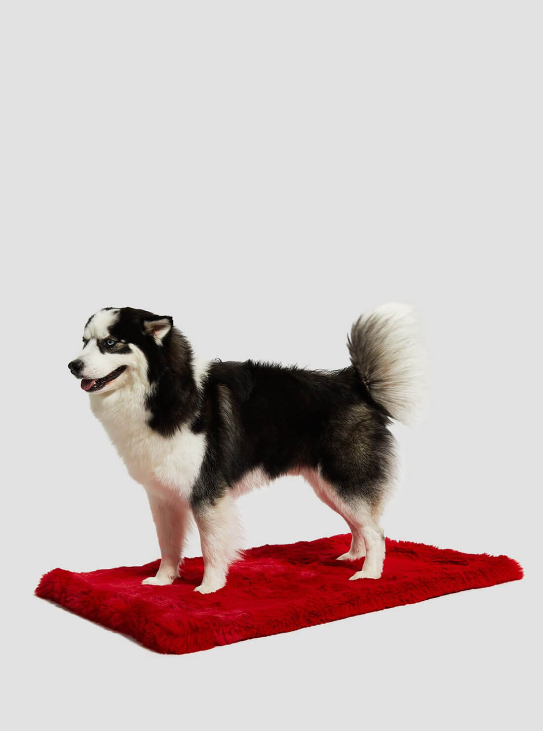 Red Faux-Fur Luxury Pet Rug