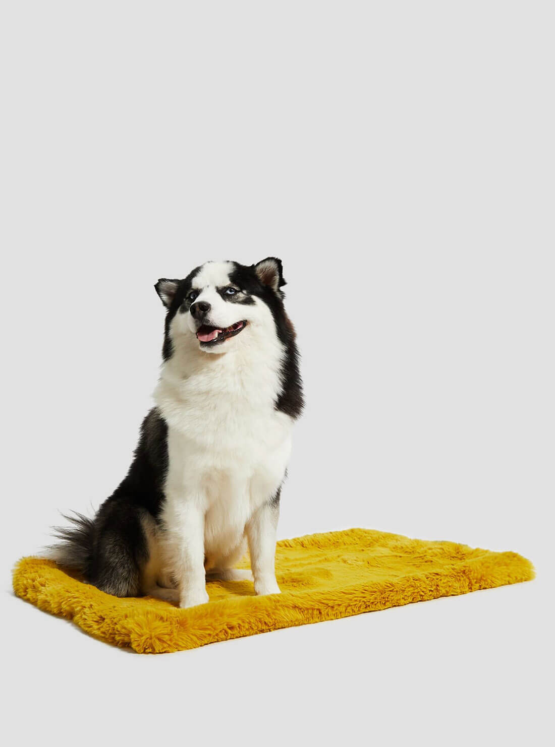 Yellow Faux-Fur Luxury Pet Rug