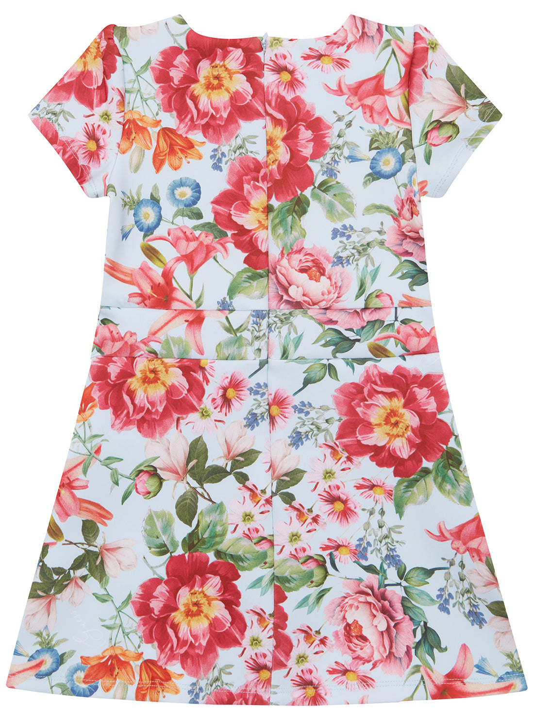 Floral Print Scuba Dress (2-7)