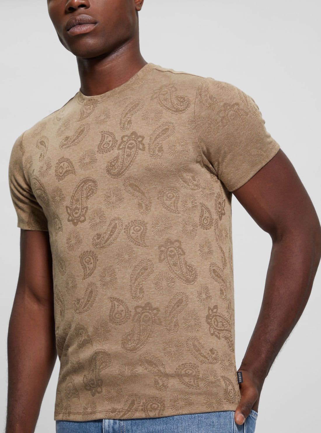 GUESS Beige Granada Jacquard Knit T-Shirt front view
