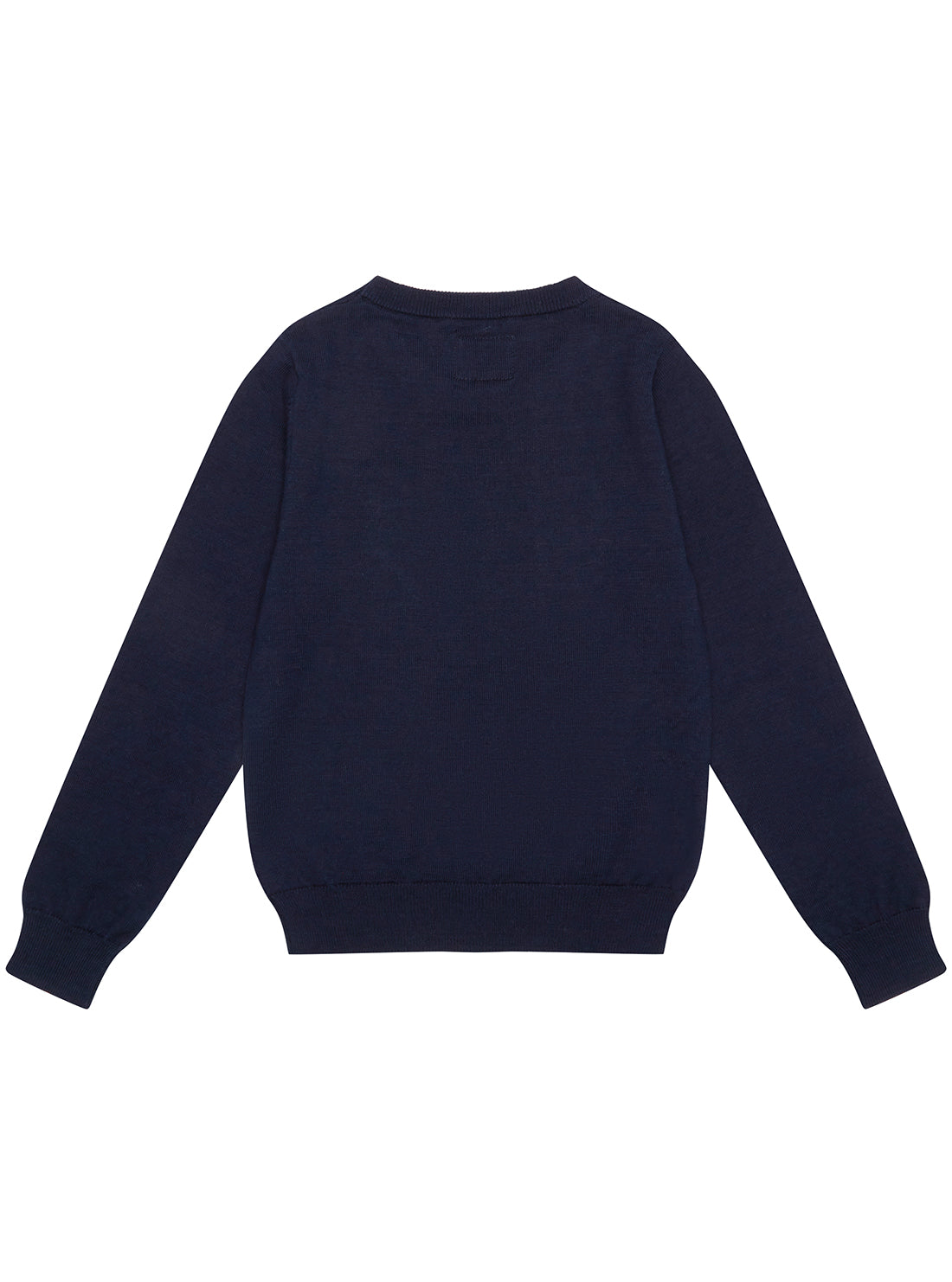 GUESS Navy Long Sleeve Jumper (2-7) back view