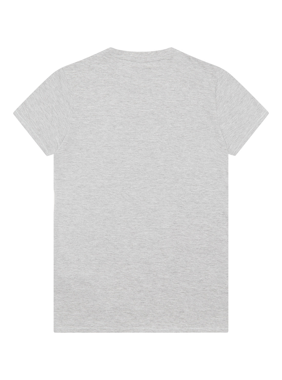 Grey Coloured Logo T-Shirt (7-16)