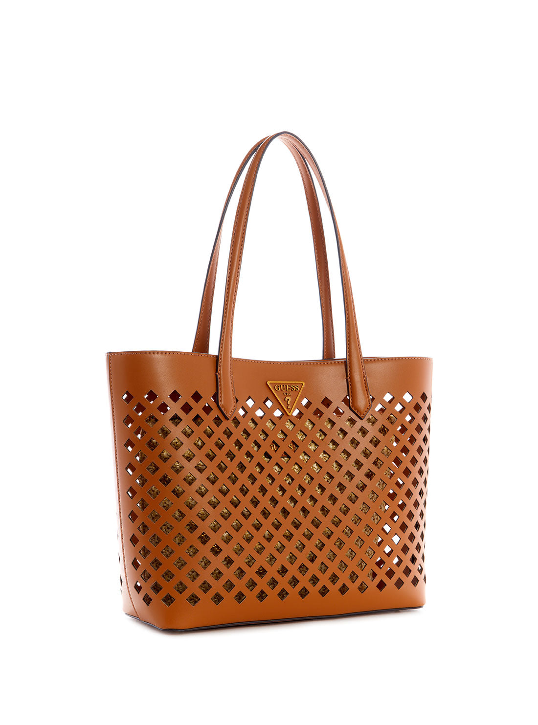 Brown Aqua Tote Bag