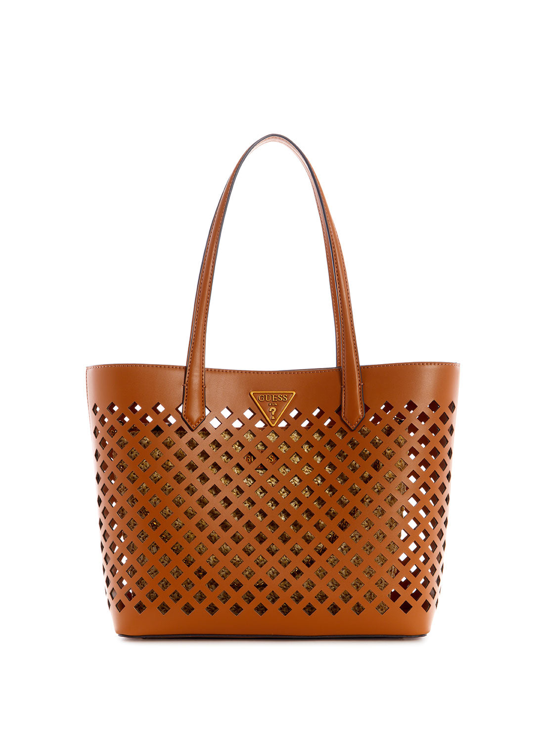 Brown Aqua Tote Bag